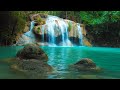 Beautiful Piano Music 24/7 • Relaxing, Calming, Meditation, Spa Music, Study, Sleep