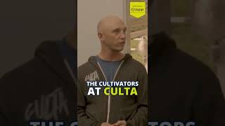 Episode 8 of Cultivation Elevated Podcast with Jay Bouton, Senior Director of Cultivation at Culta