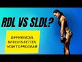 RDL vs SLDL - Comparing the Two Exercises | Tweak Your Technique with Erin Stern