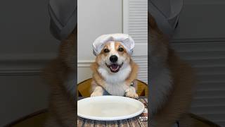 My Corgi Hosted A Dinner Party! @Transformertable