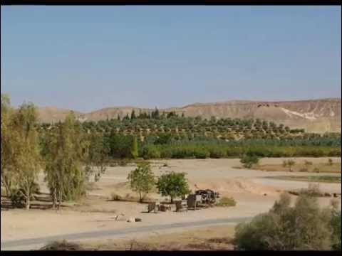 Восстанавливающий земли почвообразователь для Туркмении - YouTube