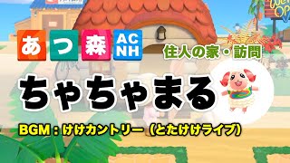 あつ森】ちゃちゃまるの性格や誕生日、家などの情報【あつまれ