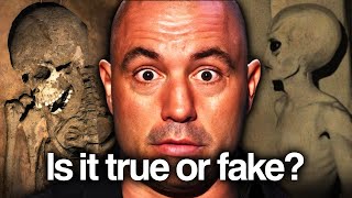 Best Joe Rogan Stories To Fall Asleep To
