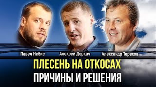 Плесень на откосах. Причины и решения. | Александр Терехов в гостях у Алексея Деркач