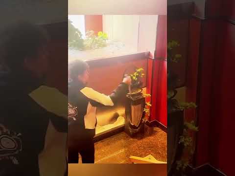 Я ДУМАЮ ВЫ ЭТОГО ТОЧНО НЕ ОЖИДАЕТЕ… (@lingting.china)