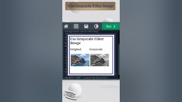 𝐂𝐬𝐬 𝐆𝐫𝐚𝐲𝐬𝐜𝐚𝐥𝐞 𝐅𝐢𝐥𝐭𝐞𝐫 𝐈𝐦𝐚𝐠𝐞 | #css #grayscale #filter #image #html #css3 #html5@Telugueducationinfo