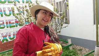 Negociación