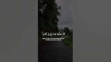 سورة طه | القارئ محمد ايوب رحمه الله
