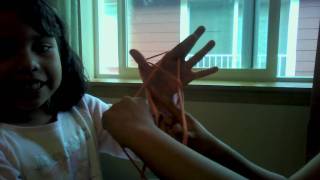 cats in cradle.avi