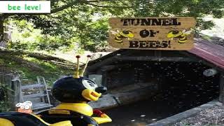 Sugary Spire - Sting Operation Joke