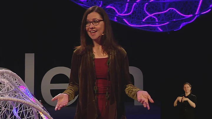 Reframing the Journey | Rebecca L. Shapiro | TEDxS...