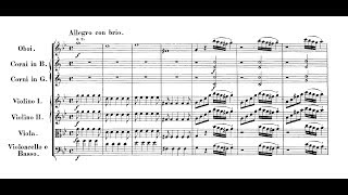 Mozart - Symphony no.25 (Takács-Nagy)