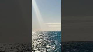 Leo Rojas Music With Sunpa #musica #nature #flute #sunpa #panflute #leorojas