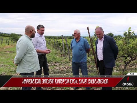 აგროდაზღვევის პროექტში ჩართულ ფერმერებს ზარალი აუნაზღაურდებათ