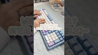 골라골라 풀배열 골라~~ #keyboard #keyboardasmr #mechanicalkeyboard #desksetup #customkeyboard