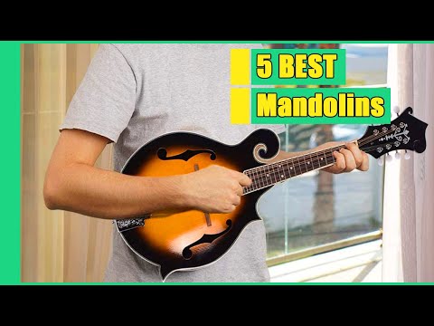 Mandolin || 5 Best Mandolins in 2021 || Buying Guide