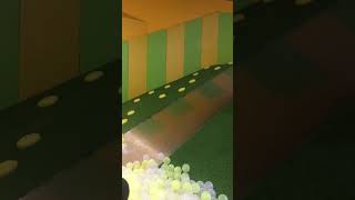 IMG 6513
