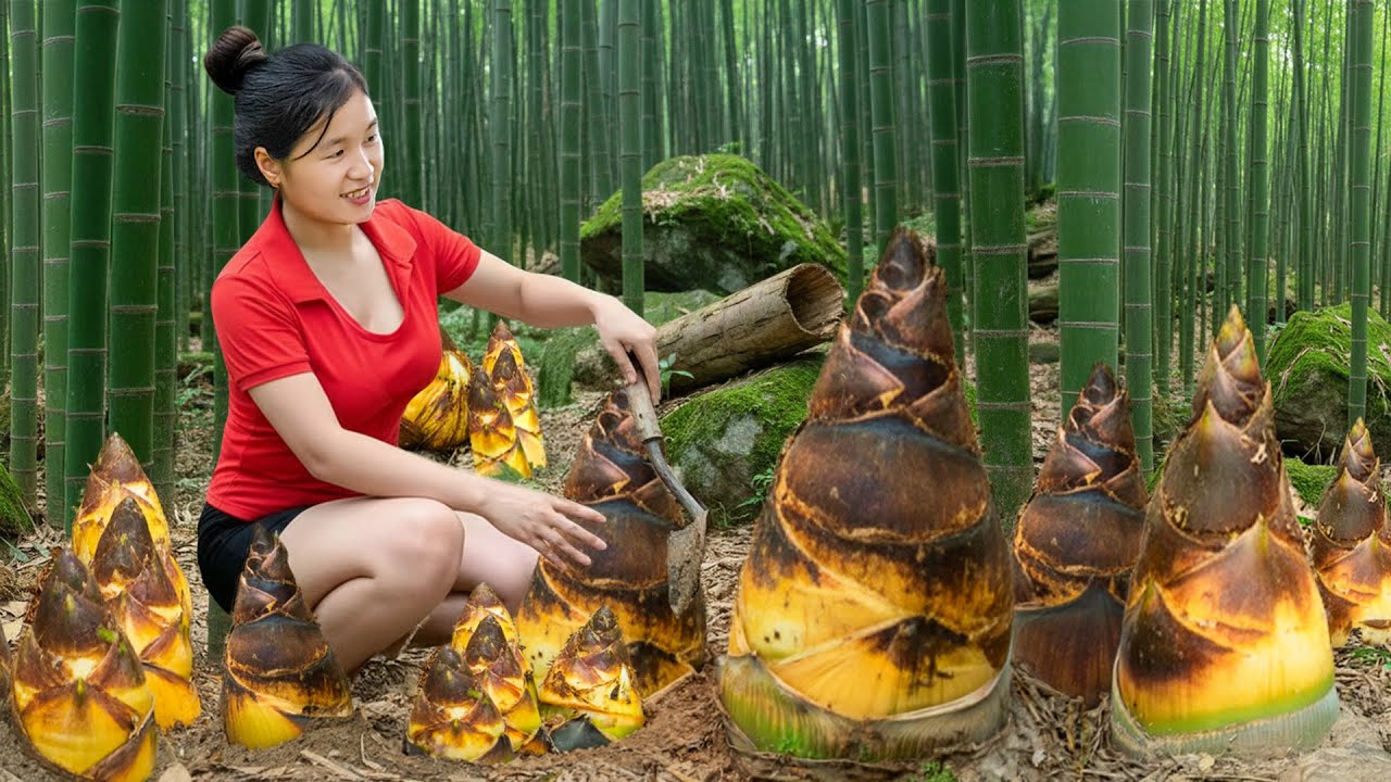 FULL VIDEO -- How to Solo Harvesting 1000+ Kg Bamboo Shoot - Elli Go to Countryside Market Sell