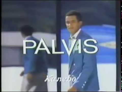 CM-KANEBO-PALVIS-カネボウ