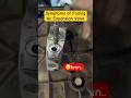Symptoms Of Failing Ac Expansion Valve Youtubeshorts Shorts Tips Airconditioner Symptoms Of Failing Ac Expansion Valve Youtubeshorts Shorts Tips Airconditioner
