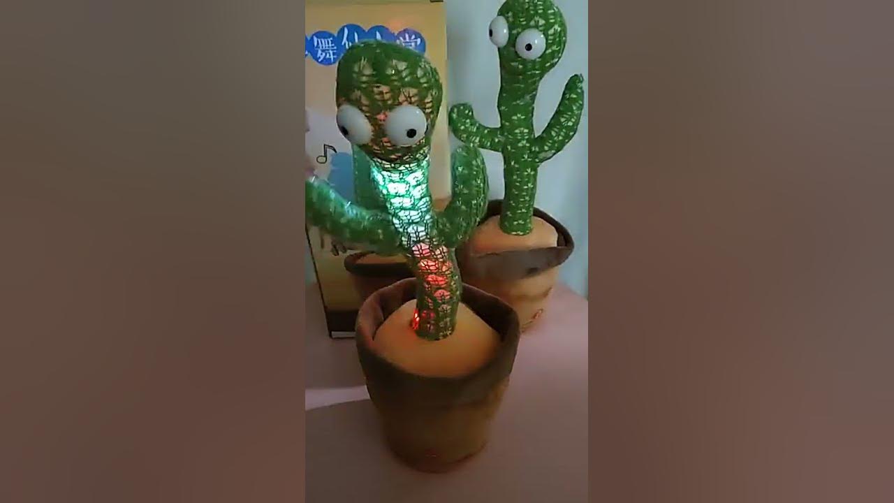 Vem desenhar comigo esse cacto fofinho! 🌵 #cactos #juliette