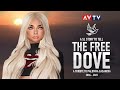 Avtv  a tribute to palomma  the free dove