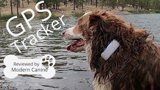 Tractive GPS Tracker for Dogs screenshot 5