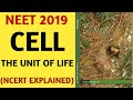 NCERT/Chapter 8/Cell:-The Unit Of Life/Class 11/Quick Revision Series/NEET/AIIMS/Biology/2019