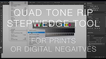 QuadToneRIP Step Wedge Tool Tutorial for Inkjet Prints or Digital Negatives