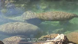Santa Fe Untamed: A River's Journey | Alachua Conservation Trust