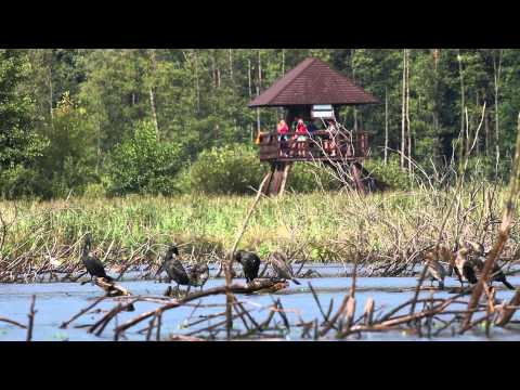 Poleski Park Narodowy - Polesie w Naturze