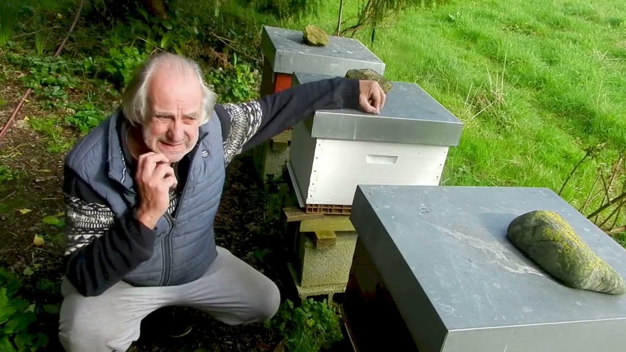 Voilà le  réveil des abeilles,  grosse entrée de pollen le 23 février, les reines en pleine ponte