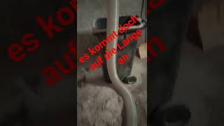 und es kommt doch auf die Lange an #wood #woodworking #woodwork #heimwerken #holzbearbeitung