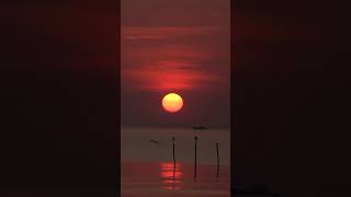 Sunset #relex #love #meditation #peace #sunset #mindset #calm #lullaby