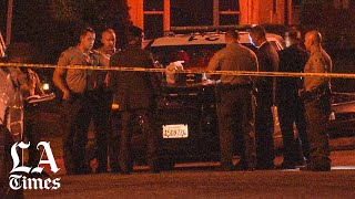 2 people, including a juvenile, found shot to death in Willowbrook