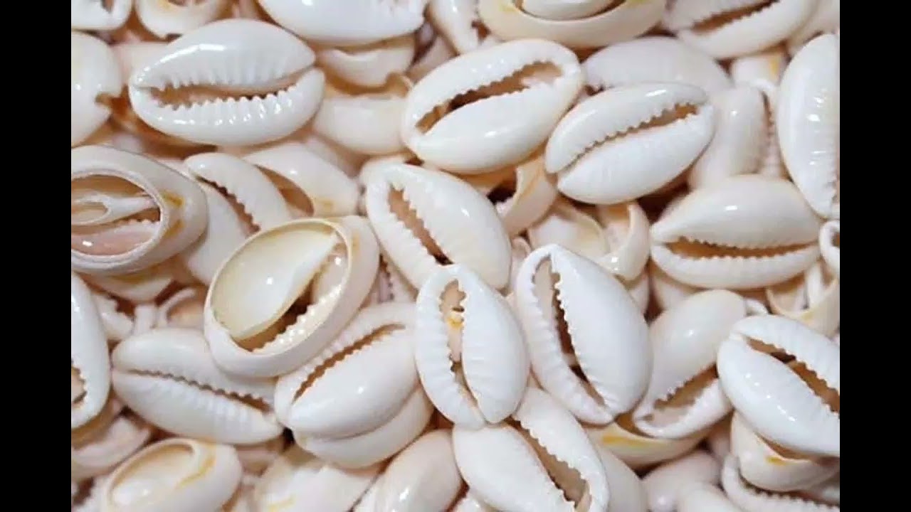 SOMDA BEYUO sàà naa yawr mp3 @ZPM_PONY