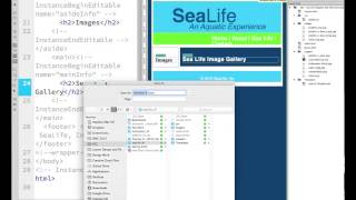 14 Build an Image Gallery Part 1 - SeaLife Video 14