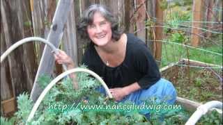 Celebrity Food Sensitivities: Personal Dietary Solution, Part 4 of 4 by Nancy Ludwig Profile