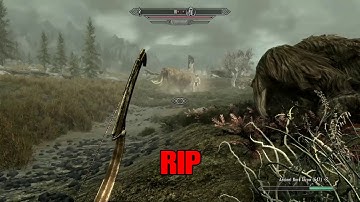 Skyrim Companion Revive