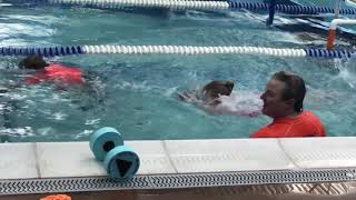 1st swim lessons at Bear Paddle 12/2017