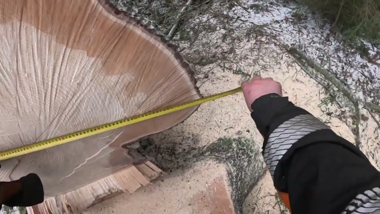 Puuta nurin ja ruokatulet