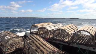 Lobster Fishing with "Miss Leary's Cove"