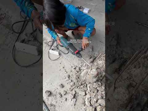 Pantibag! Reaim Brushless Impact Rotary Hammer