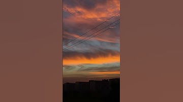 Thumbnail of Carla Morrsion - Disfruto (Live)