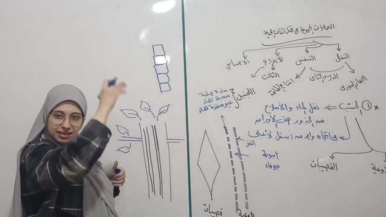 علوم متكاملة الترم الثاني 2026 || شرح النقل في النبات بالتفصيل (الدرس الثاني Part1)