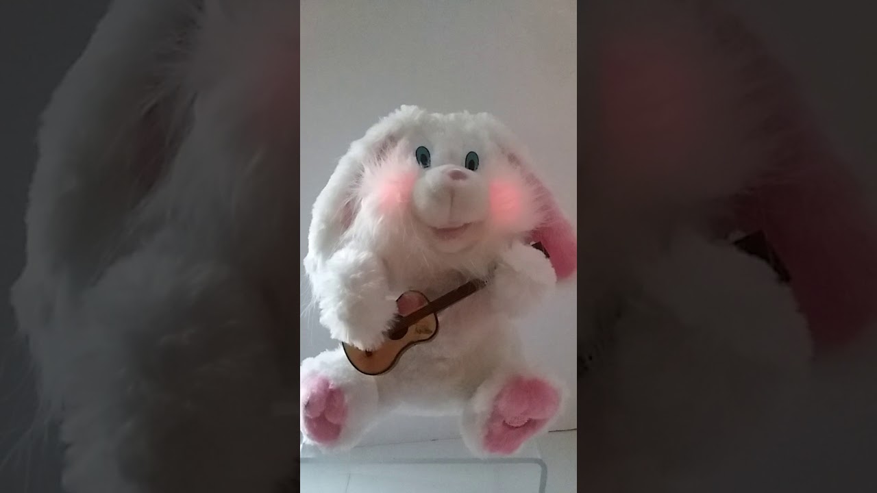 Dan Dee Ain't Nothin but a Rabbit Elvis Bunny - YouTube