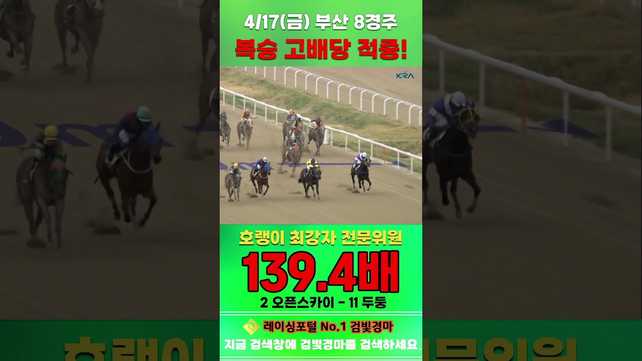 [부산 경마] 4월 17일 금요 8경주 호랭이 최강자 전문위원 복승 고배당 적중 #경마 #automobile #한국마사회 #horse #하이라이트 #뉴스 #korean #게임