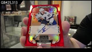 GB #25,313 - 2025-26 Upper Deck OPC Platinum Hockey 2 Box Break