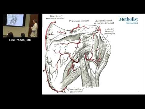 Go to theGo to themedical terminologyGo to theGo to themedical terminologycourse here: https://acade. 