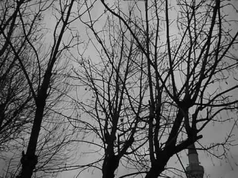 Max Richter Sarajevo Video 